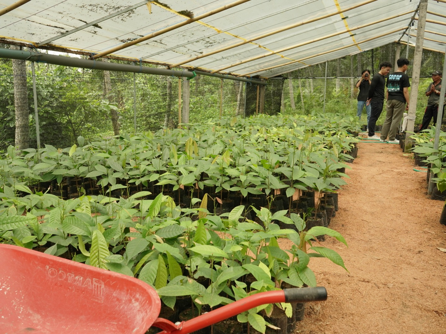 Wisata Yehembang Kangin